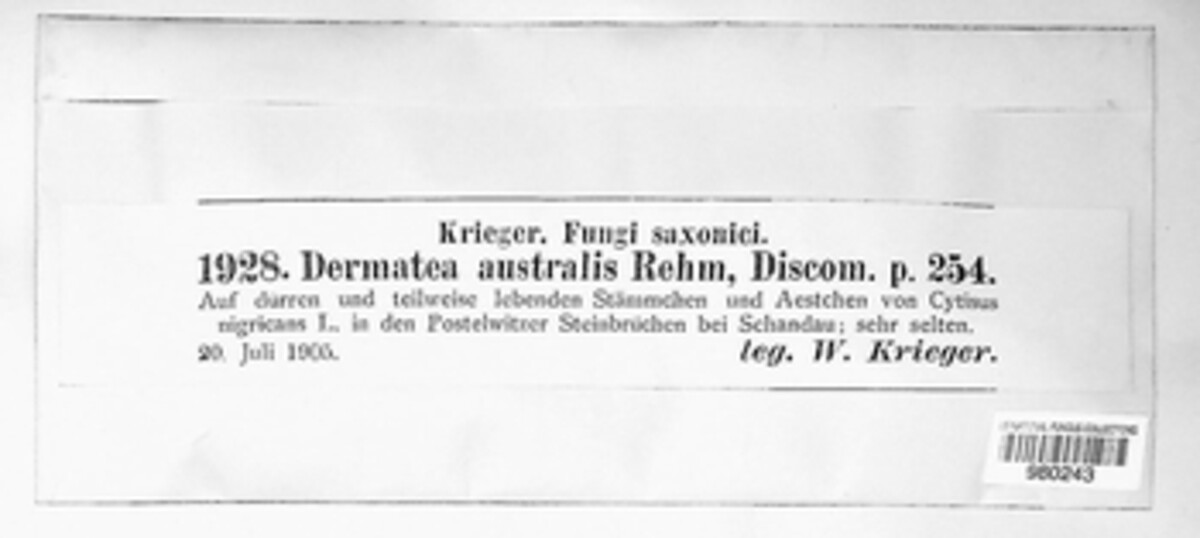 Pezicula australis image